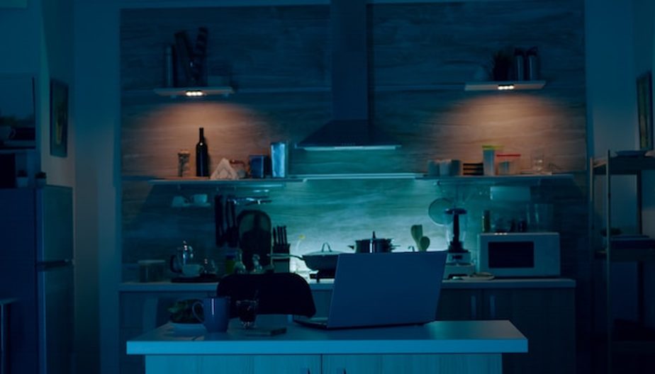 Aquário grande e iluminado em sala de estar, com peixes e plantas aquáticas